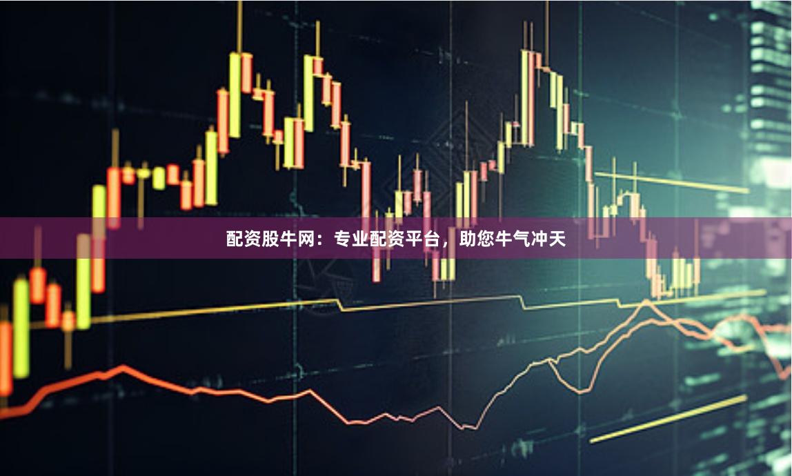 配资股牛网：专业配资平台，助您牛气冲天